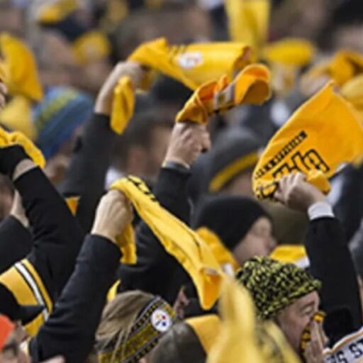 Steelers fans waving terrible towels